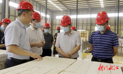 走基层 找问题 想办法 促发展 | 欧文安深入冷水江调研开放型经济与耐火材料产业发展